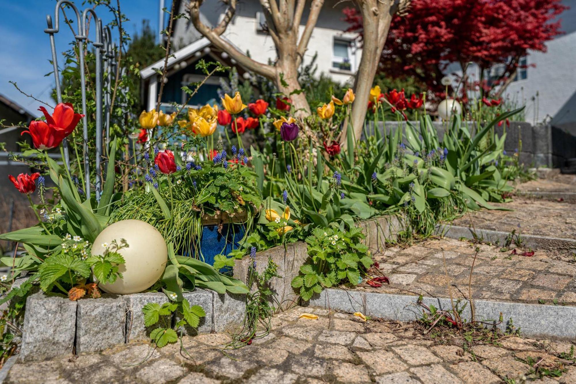Ferienwohnung Drachenstein ไวน์ไฮม์ ภายนอก รูปภาพ